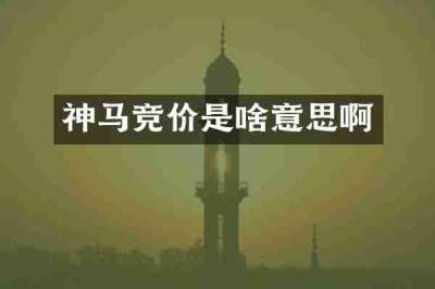 神马竞价是啥意思啊