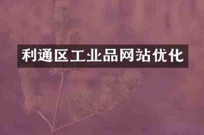 利通区工业品网站优化