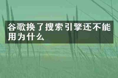 谷歌换了搜索引擎还不能用为什么