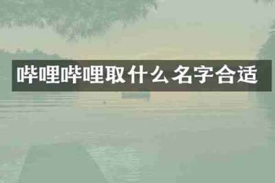 哔哩哔哩取什么名字合适