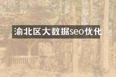渝北区大数据seo优化
