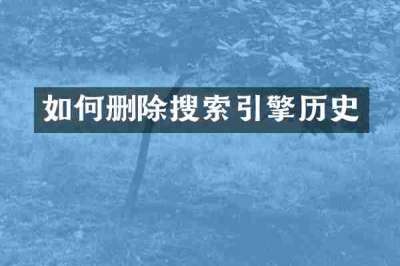 如何删除搜索引擎历史