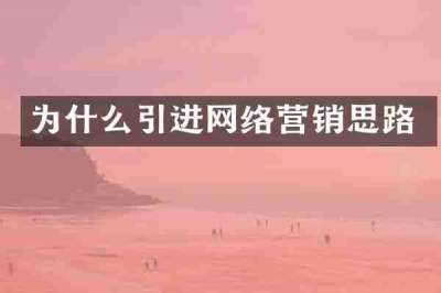 为什么引进网络营销思路