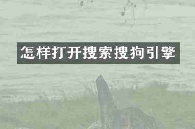 怎样打开搜索搜狗引擎