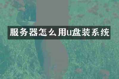服务器怎么用u盘装系统