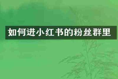 如何进小红书的粉丝群里
