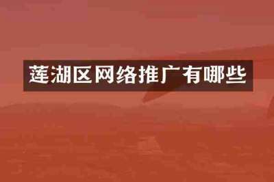 莲湖区网络推广有哪些