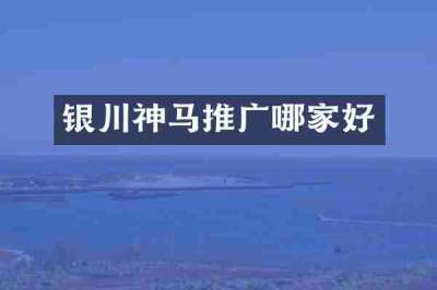 银川神马推广哪家好