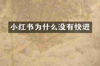 小红书为什么没有快进