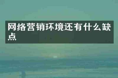 网络营销环境还有什么缺点