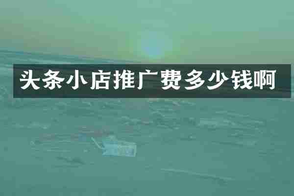 头条小店推广费多少钱啊