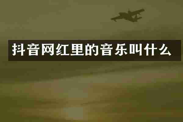抖音网红里的音乐叫什么