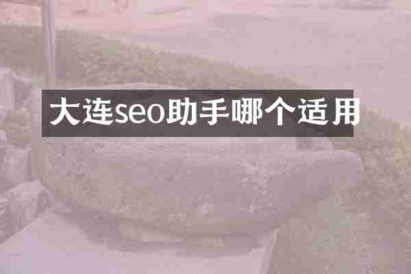 大连seo助手哪个适用