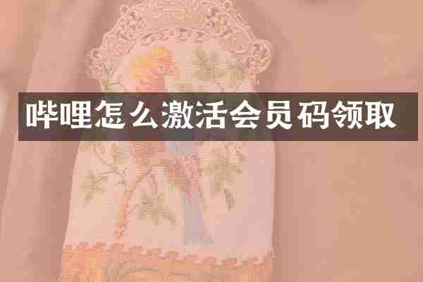 哔哩怎么激活会员码领取