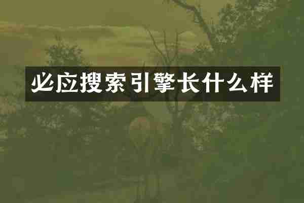 必应搜索引擎长什么样