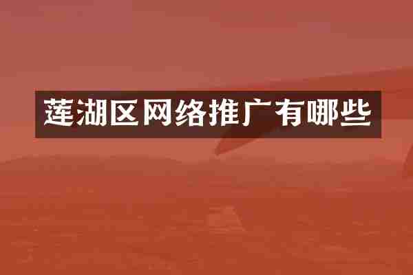 莲湖区网络推广有哪些