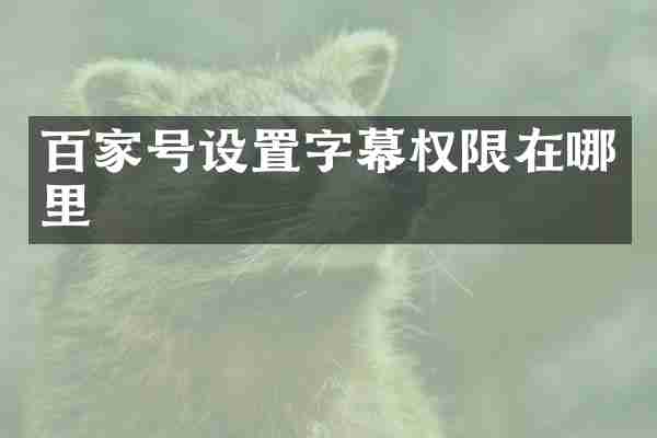百家号设置字幕权限在哪里