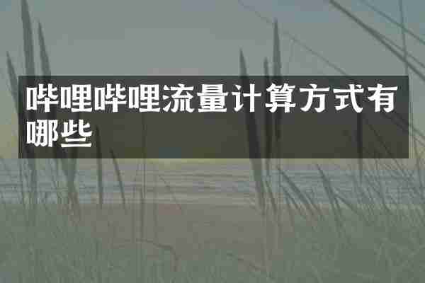 哔哩哔哩流量计算方式有哪些
