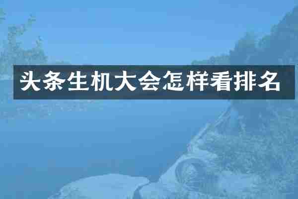头条生机大会怎样看排名