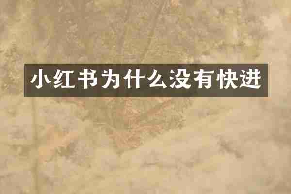 小红书为什么没有快进