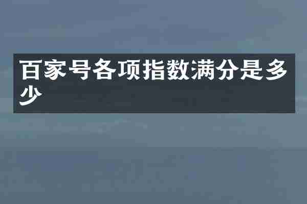 百家号各项指数满分是多少