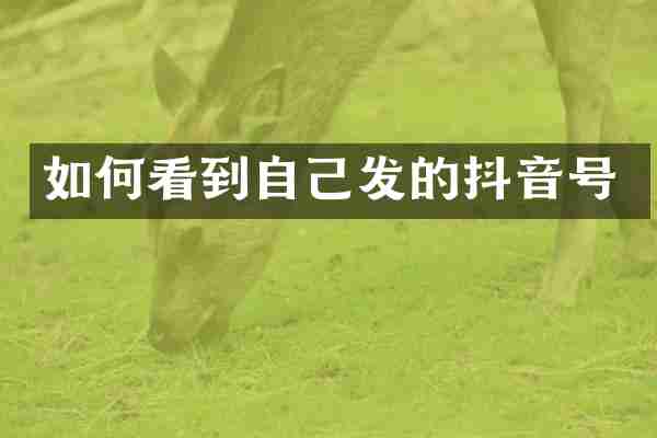 如何看到自己发的抖音号