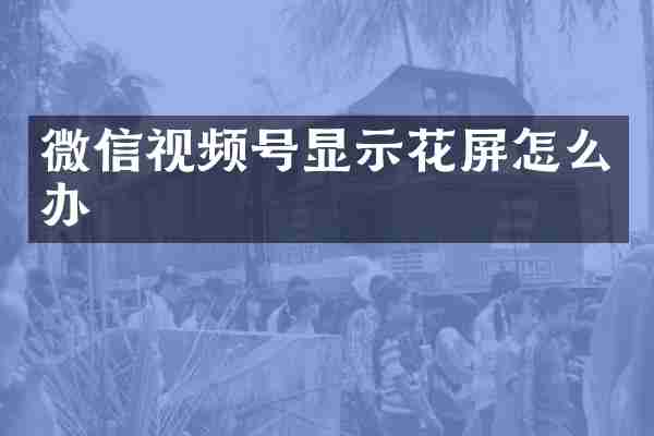 微信视频号显示花屏怎么办