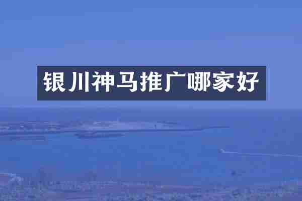 银川神马推广哪家好