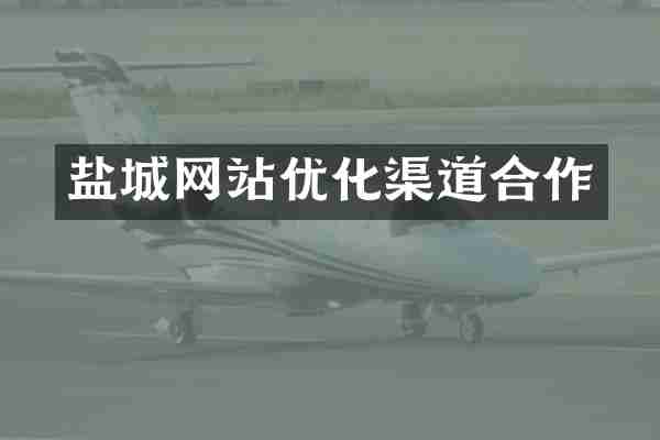 盐城网站优化渠道合作