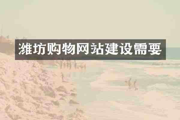 潍坊购物网站建设需要