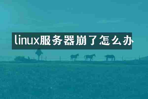 linux服务器崩了怎么办