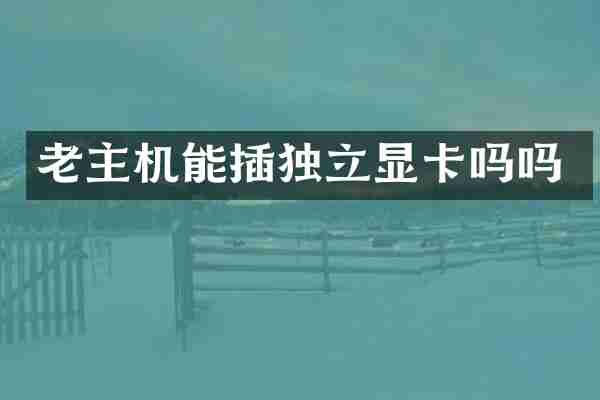 老主机能插独立显卡吗吗