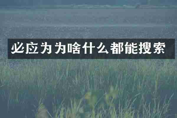 必应为为啥什么都能搜索