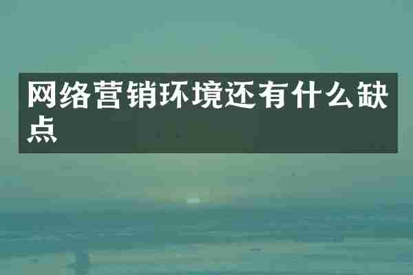 网络营销环境还有什么缺点