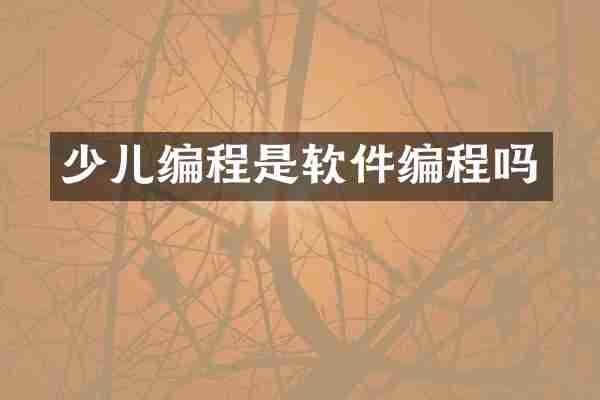 少儿编程是软件编程吗