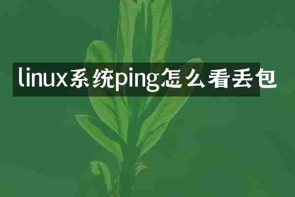 linux系统ping怎么看丢包