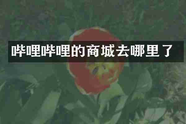 哔哩哔哩的商城去哪里了