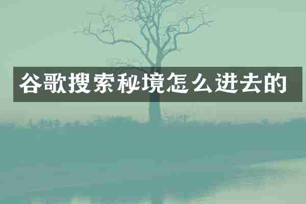 谷歌搜索秘境怎么进去的