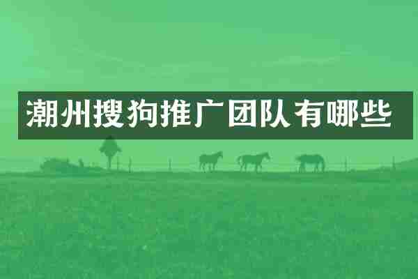 潮州搜狗推广团队有哪些