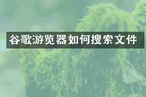 谷歌游览器如何搜索文件