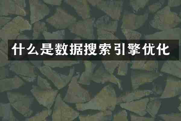 什么是数据搜索引擎优化