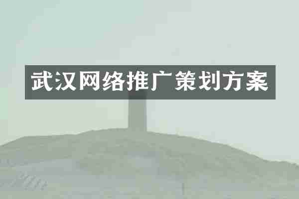 武汉网络推广策划方案