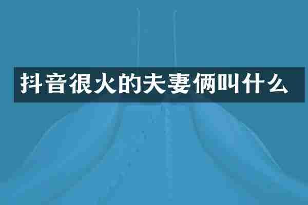 抖音很火的夫妻俩叫什么