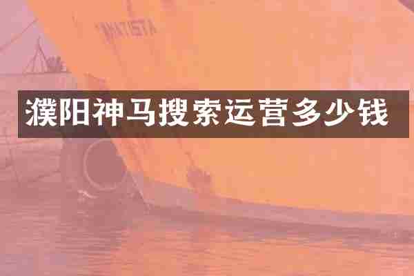 濮阳神马搜索运营多少钱