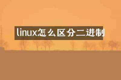 linux怎么区分二进制