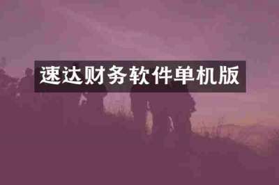 速达财务软件单机版