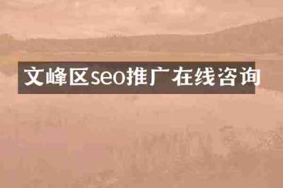 文峰区seo推广在线咨询
