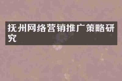 抚州网络营销推广策略研究