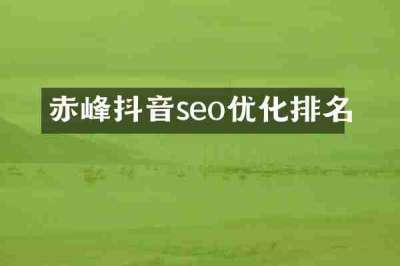 赤峰抖音seo优化排名