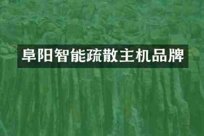 阜阳智能疏散主机品牌